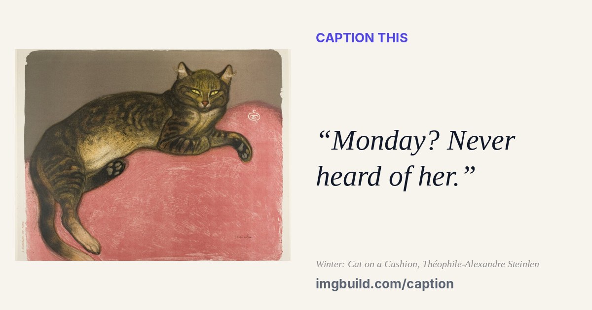 Winter: Cat on a Cushion with the caption: Monday? Never heard of her.