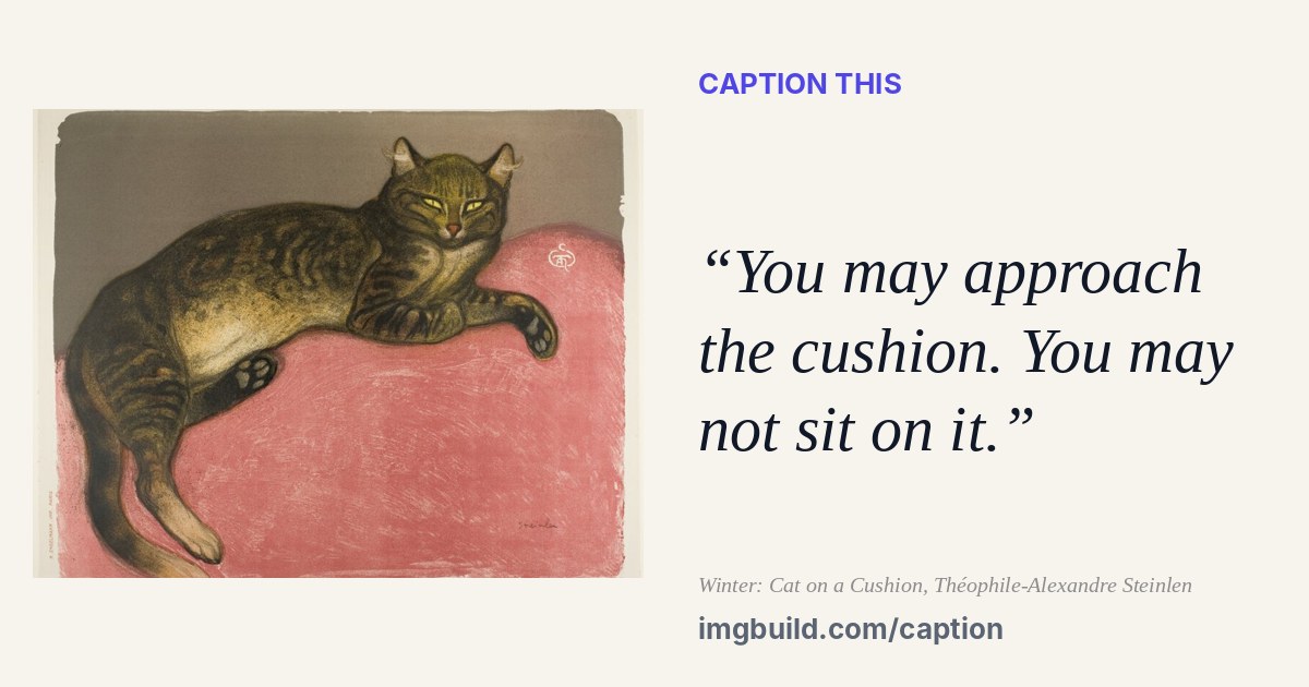 Winter: Cat on a Cushion with the caption: You may approach the cushion. You may not sit on it.